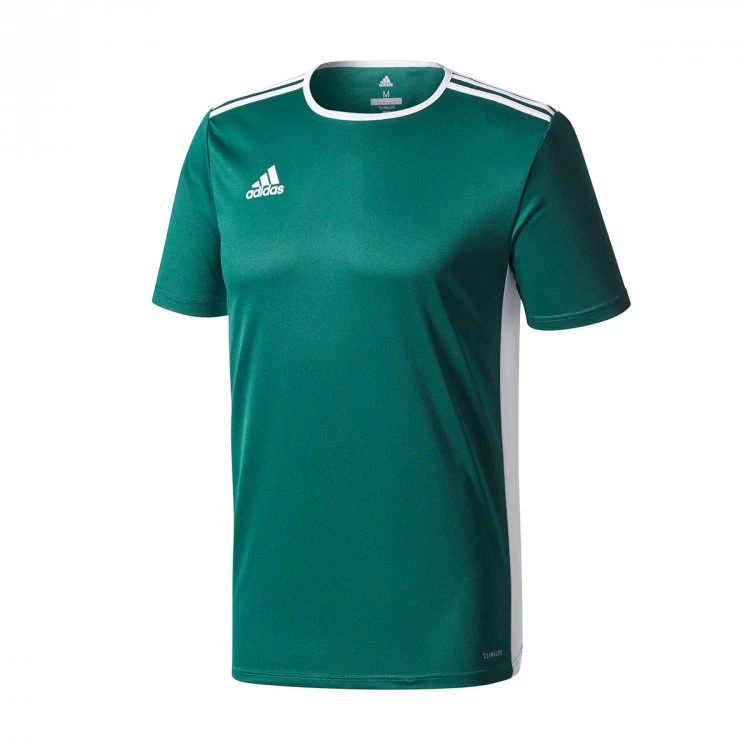 camiseta-adidas-entrada-18-mc-core-green-white-0