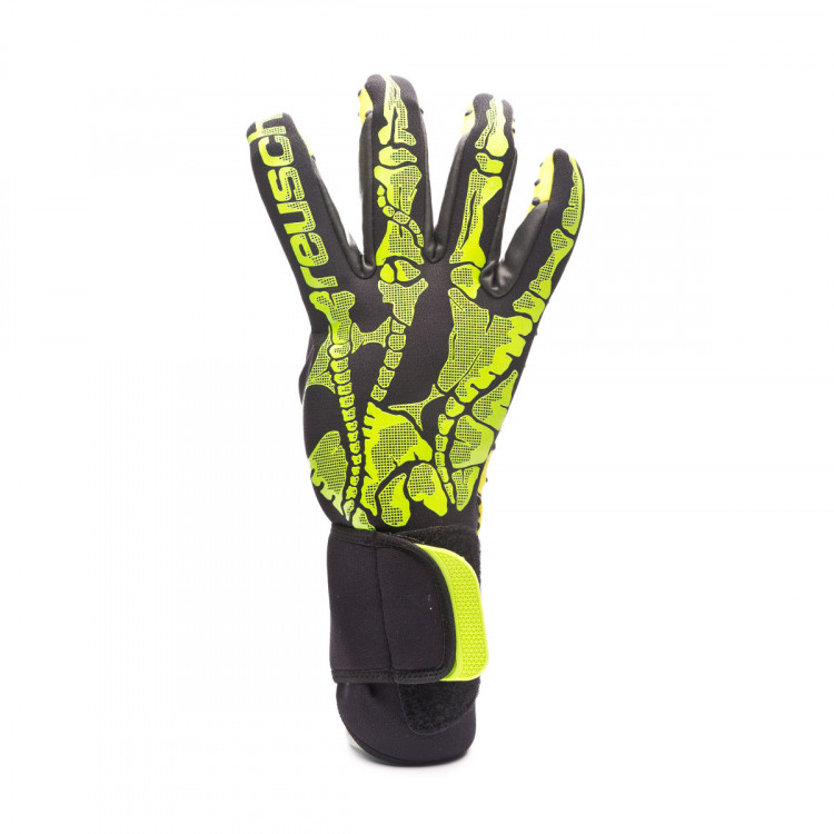 reusch x ray