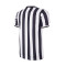 COPA Juventus FC 1994–95 Retro-Fußballtrikot Trikot