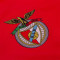 Koszulka COPA Koszulka piłkarska SL Benfica 1992 - 93