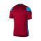 Maillot Nike Enfant Park Derby III m/c