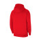 Sweat-shirt Nike con capucha Park 20 Fleece