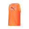 Puma teamLIGA Training Bib