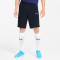 Puma teamGOAL Bermuda-Shorts