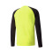 Maglia Puma teamPACER m/l Portiere