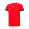 Puma TeamRISE Shirt