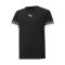 Puma TeamRISE Shirt