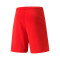 Puma TeamRISE Shorts