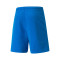 Puma TeamRISE Shorts