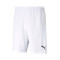 Puma TeamRISE Shorts