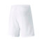 Puma TeamRISE Shorts