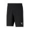 Puma TeamRISE Shorts