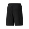 Puma TeamRISE Shorts