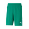 Puma teamRISE Shorts