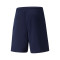 Puma TeamRISE Shorts