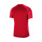 Maillot Nike Strike II m/c