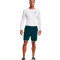 Maillot Under Armour HeatGear Compression LS