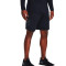 Under Armour Technische afbeelding Shorts