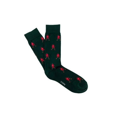 Portugal 2016 (1 Pair) Socks