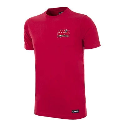 Camiseta Portugal 2016 European Champions