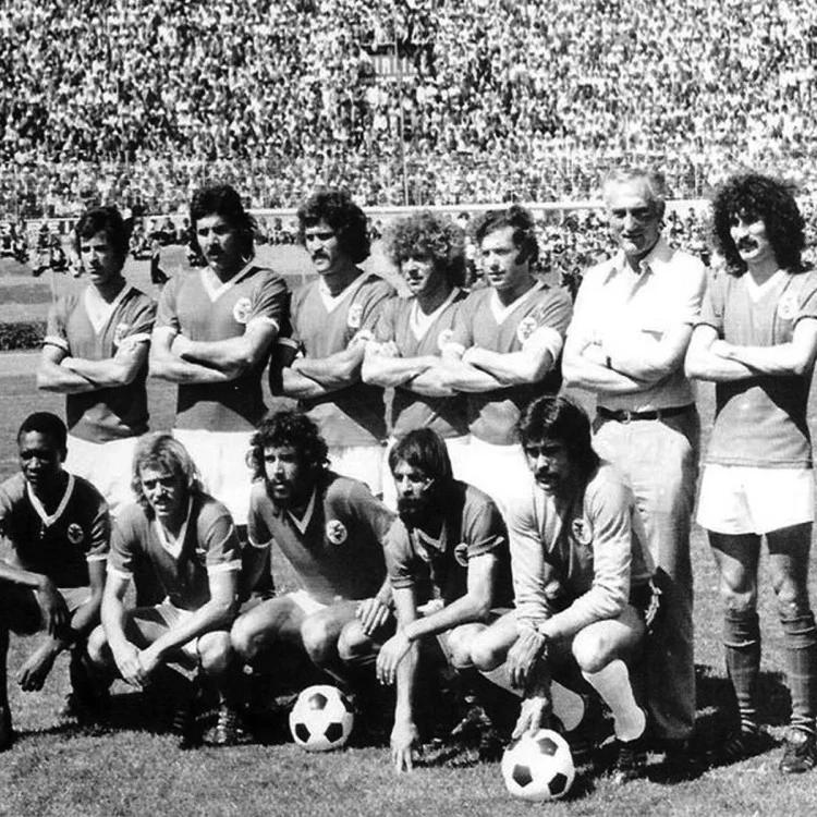 camiseta-copa-sl-benfica-1974-75-retro-red-6