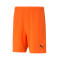 Puma teamRISE Shorts