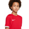 Camiseta Nike Dri-Fit Challenge IV m/c Niño