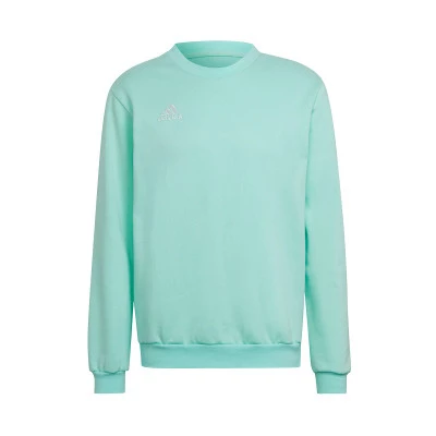 Sweatshirt Entrada 22 Sweat