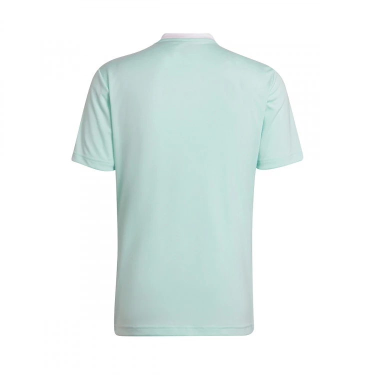 camiseta-adidas-entrada-22-mc-clear-mint-1