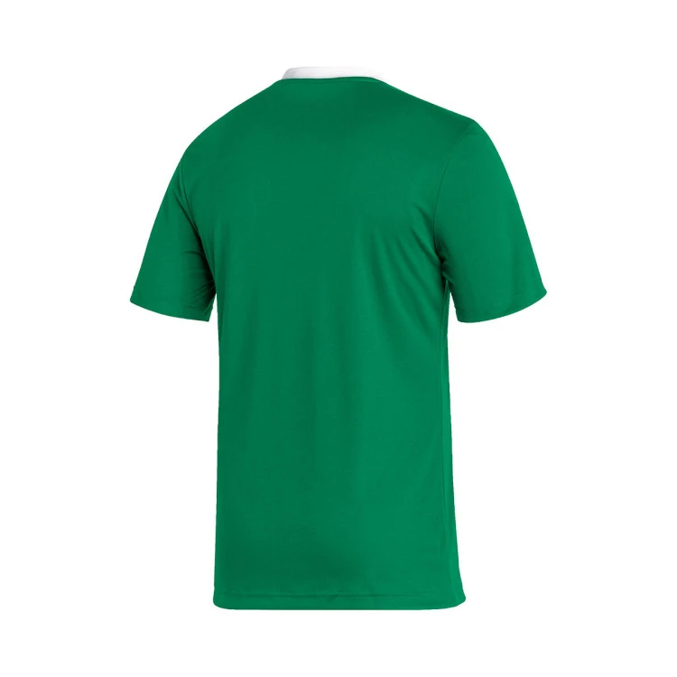 camiseta-adidas-entrada-22-mc-green-2