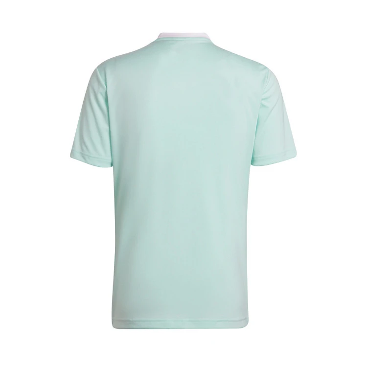 camiseta-adidas-entrada-22-mc-nino-clear-mint-2