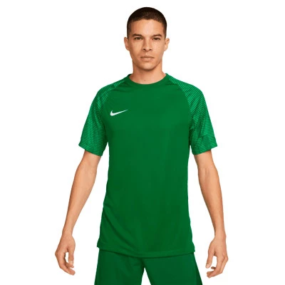 Maglia Dri-Fit Academy m/c