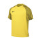 Nike Dri-Fit Academy s/s Jersey