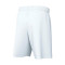 Nike Park III Knit Shorts