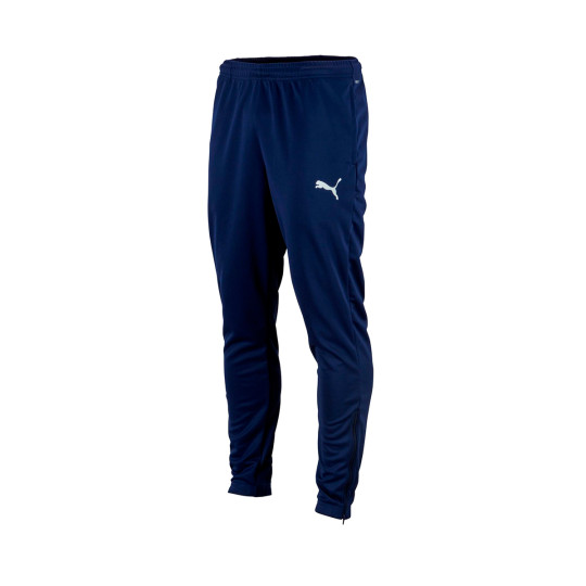 puma teamrise sideline pants