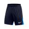 Nike Academy Pro Knit Shorts
