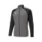 Puma teamLIGA Jacket