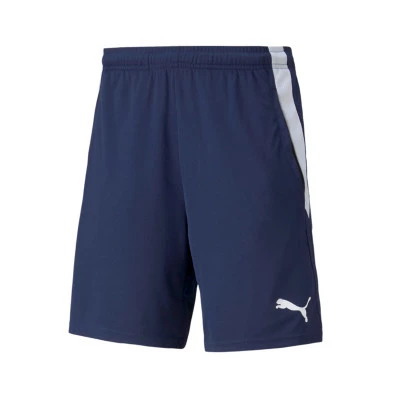 TeamLIGA-training Shorts