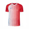 Koszulka Nike Striped SMU II m/c