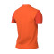 Camiseta Nike Trophy V m/c