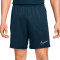 Nike Academy 23 Knit Shorts