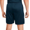 Nike Academy 23 Knit Shorts