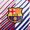 Nike FC Barcelona Pre-Match 2023-2024 Trikot