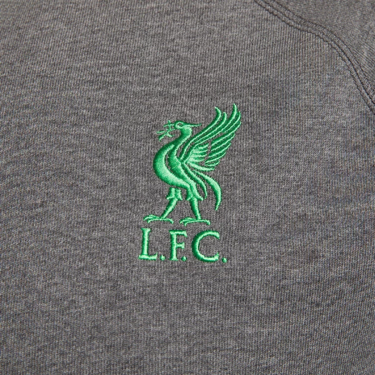 camiseta-nike-liverpool-fc-fanswear-2023-2024-charcoal-heathr-poison-green-3