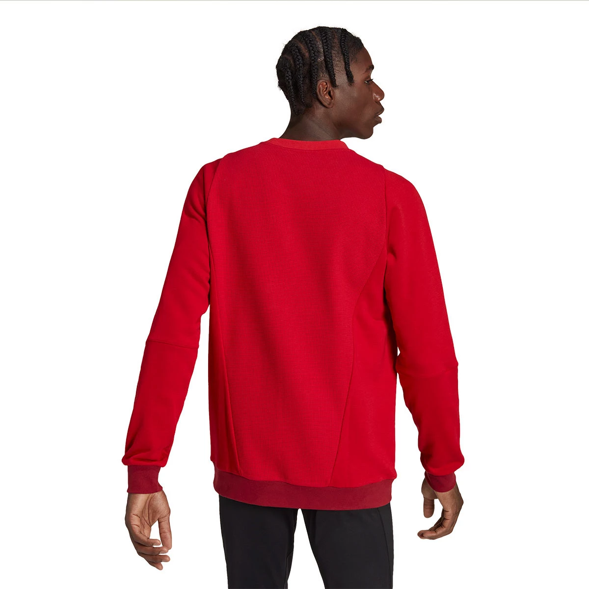 Adidas crew neck with pockets online