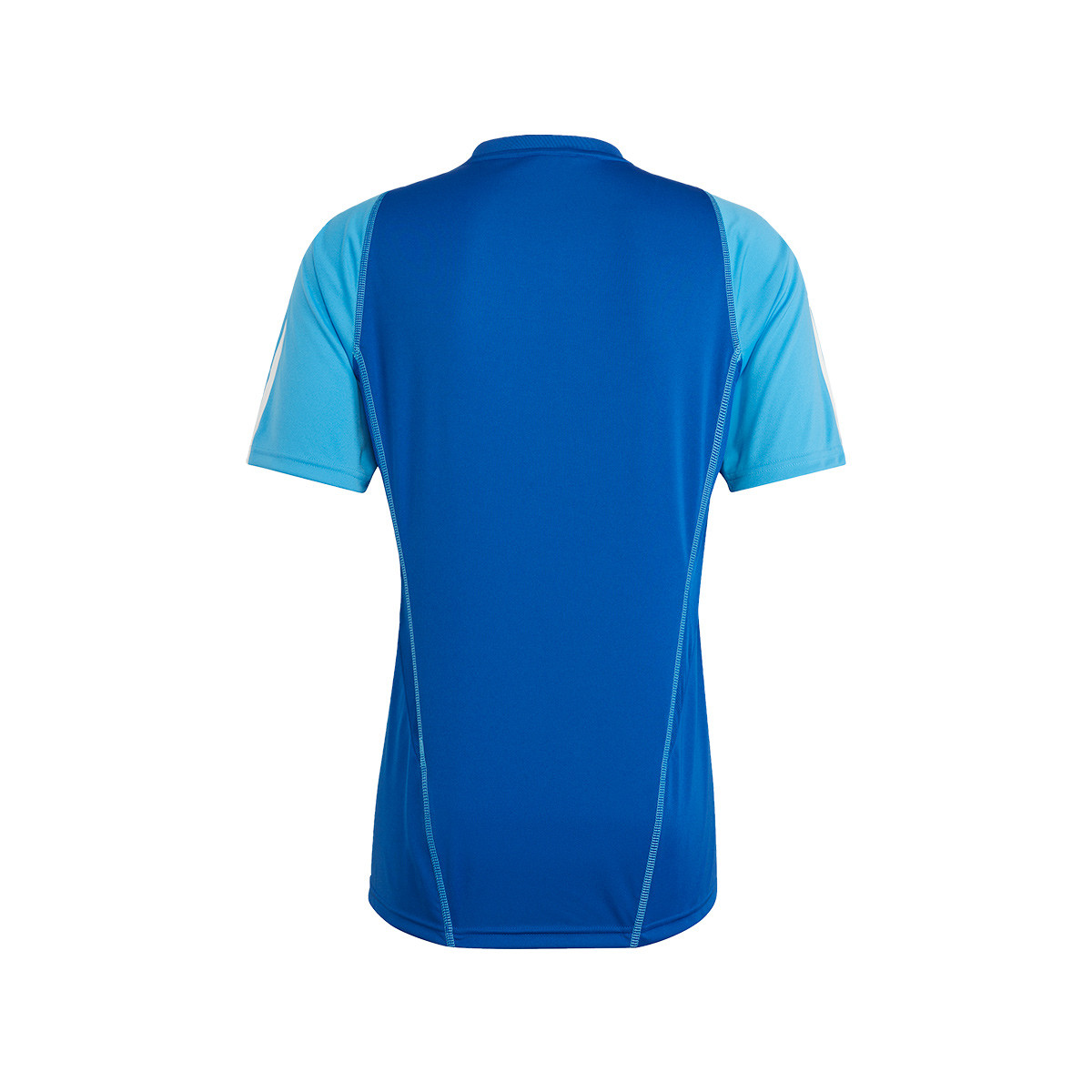 Adidas Argentina Training Jersey 2022 - Pulse Blue - Size S