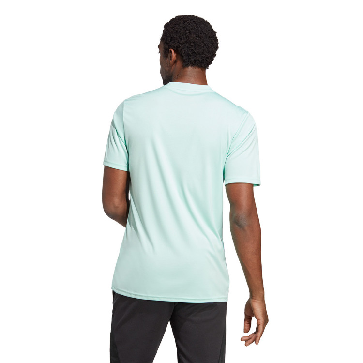 camiseta-adidas-team-icon-23-clear-mint-1
