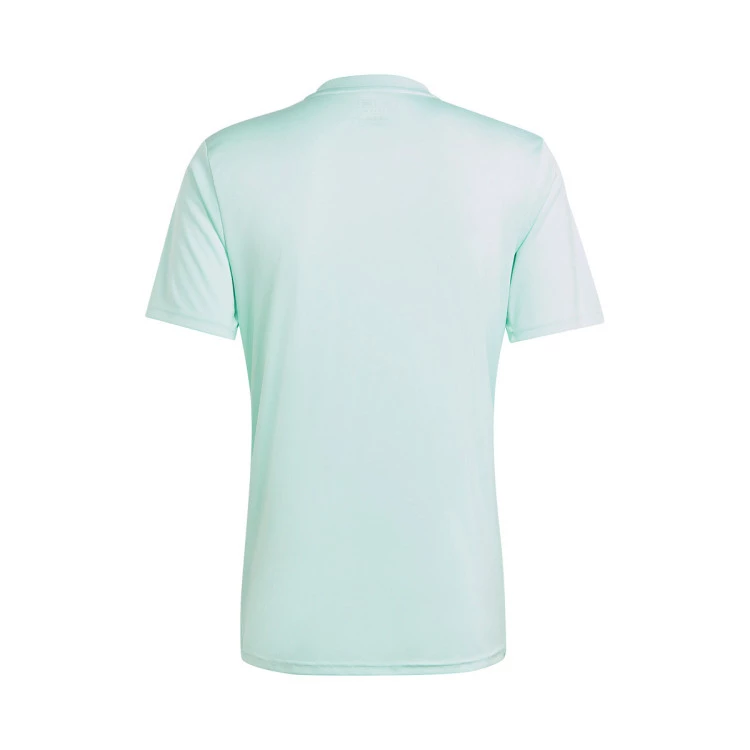 camiseta-adidas-team-icon-23-clear-mint-3