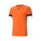 Puma teamRISE m/c Jersey