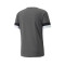 Camisola Puma teamRISE m/c